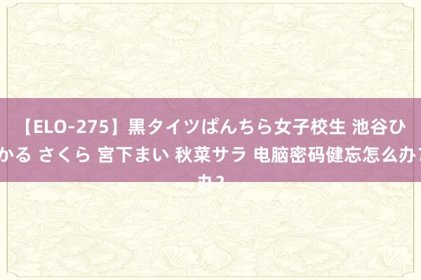 【ELO-275】黒タイツぱんちら女子校生 池谷ひかる さくら 宮下まい 秋菜サラ 电脑密码健忘怎么办？