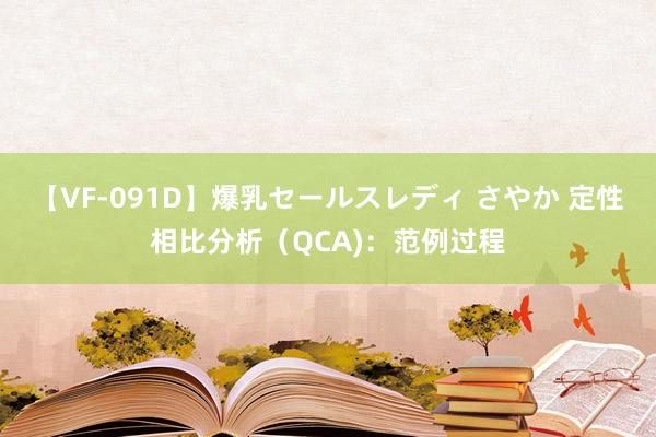 【VF-091D】爆乳セールスレディ さやか 定性相比分析（QCA)：范例过程