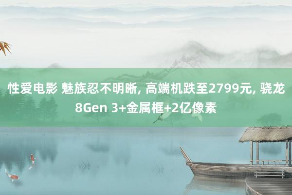 性爱电影 魅族忍不明晰, 高端机跌至2799元, 骁龙8Gen 3+金属框+2亿像素