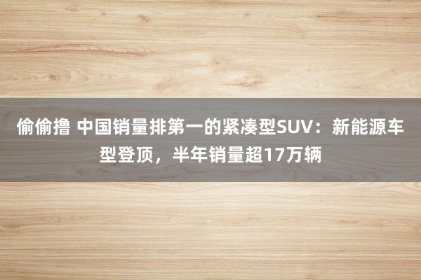 偷偷撸 中国销量排第一的紧凑型SUV：新能源车型登顶，半年销量超17万辆