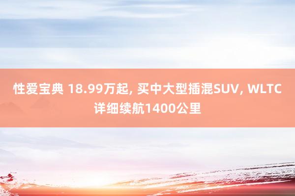 性爱宝典 18.99万起, 买中大型插混SUV, WLTC详细续航1400公里