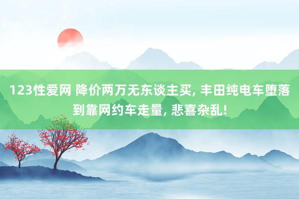 123性爱网 降价两万无东谈主买, 丰田纯电车堕落到靠网约车走量, 悲喜杂乱!