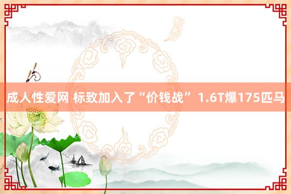 成人性爱网 标致加入了“价钱战” 1.6T爆175匹马