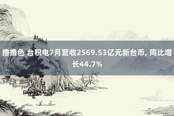 撸撸色 台积电7月营收2569.53亿元新台币, 同比增长44.7%