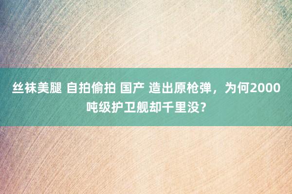 丝袜美腿 自拍偷拍 国产 造出原枪弹，为何2000吨级护卫舰却千里没？