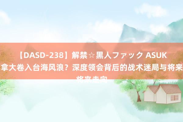 【DASD-238】解禁☆黒人ファック ASUKA 加拿大卷入台海风浪？深度领会背后的战术迷局与将来走向