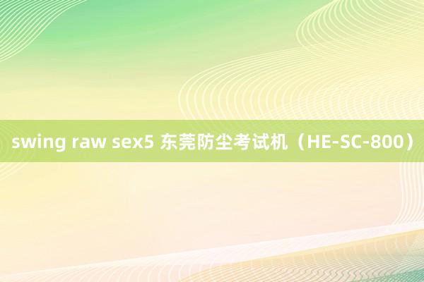 swing raw sex5 东莞防尘考试机（HE-SC-800）