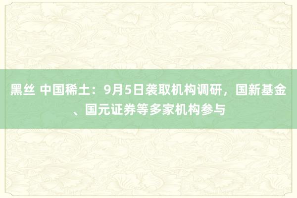 黑丝 中国稀土：9月5日袭取机构调研，国新基金、国元证券等多家机构参与