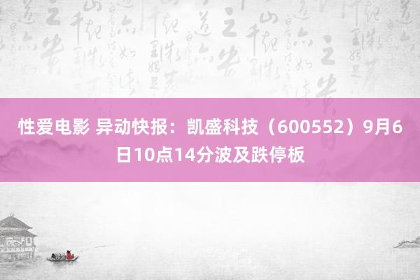 性爱电影 异动快报：凯盛科技（600552）9月6日10点14分波及跌停板