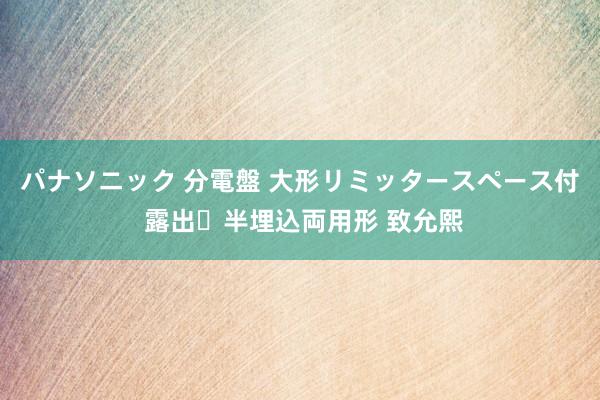 パナソニック 分電盤 大形リミッタースペース付 露出・半埋込両用形 致允熙