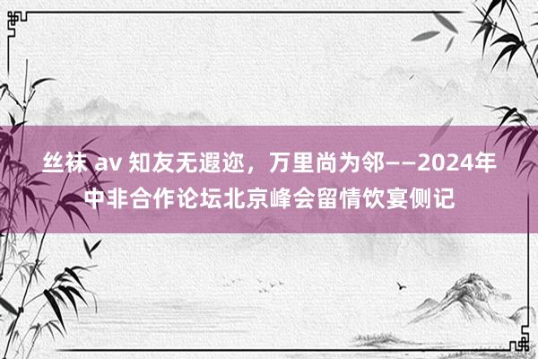 丝袜 av 知友无遐迩，万里尚为邻——2024年中非合作论坛北京峰会留情饮宴侧记