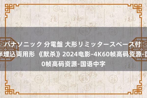 パナソニック 分電盤 大形リミッタースペース付 露出・半埋込両用形 《默杀》2024电影-4K60帧高码资源-国语中字