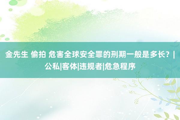 金先生 偷拍 危害全球安全罪的刑期一般是多长？|公私|客体|违规者|危急程序