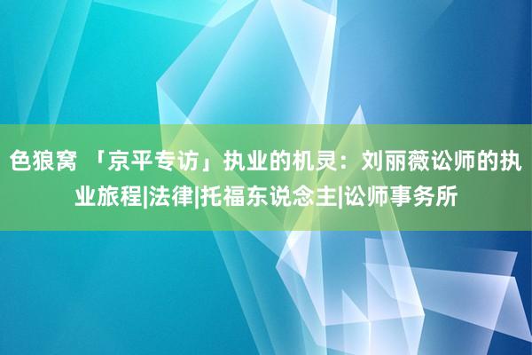 色狼窝 「京平专访」执业的机灵：刘丽薇讼师的执业旅程|法律|托福东说念主|讼师事务所