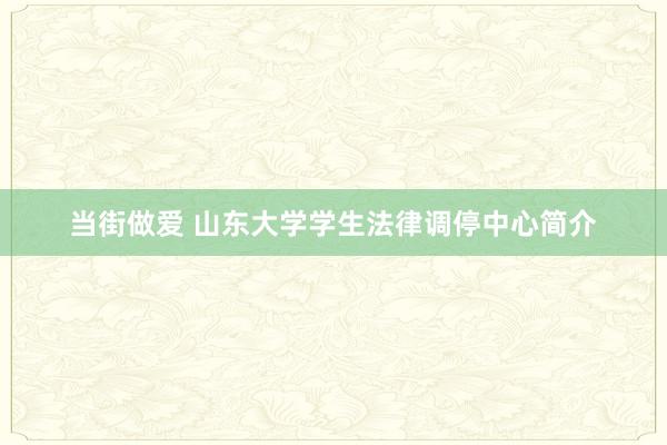 当街做爱 山东大学学生法律调停中心简介