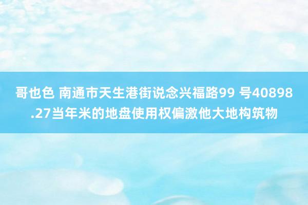 哥也色 南通市天生港街说念兴福路99 号40898.27当年米的地盘使用权偏激他大地构筑物